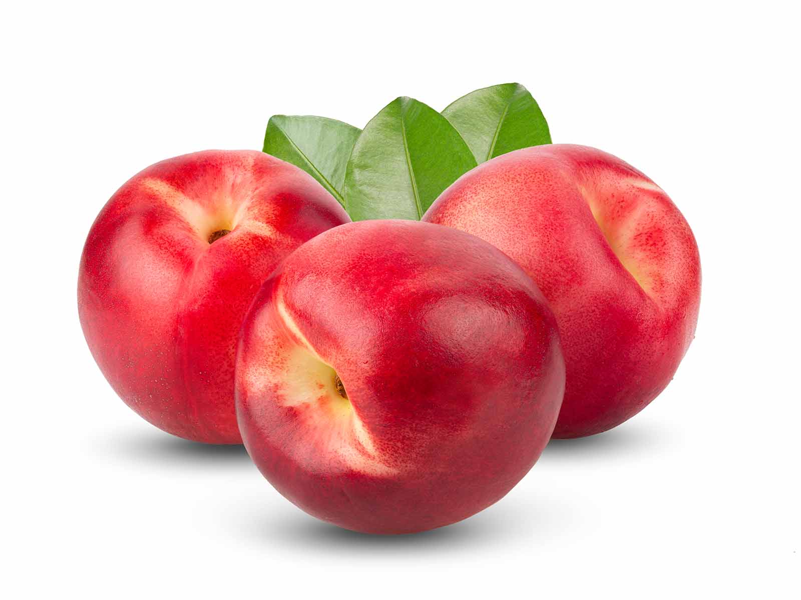 Nektar